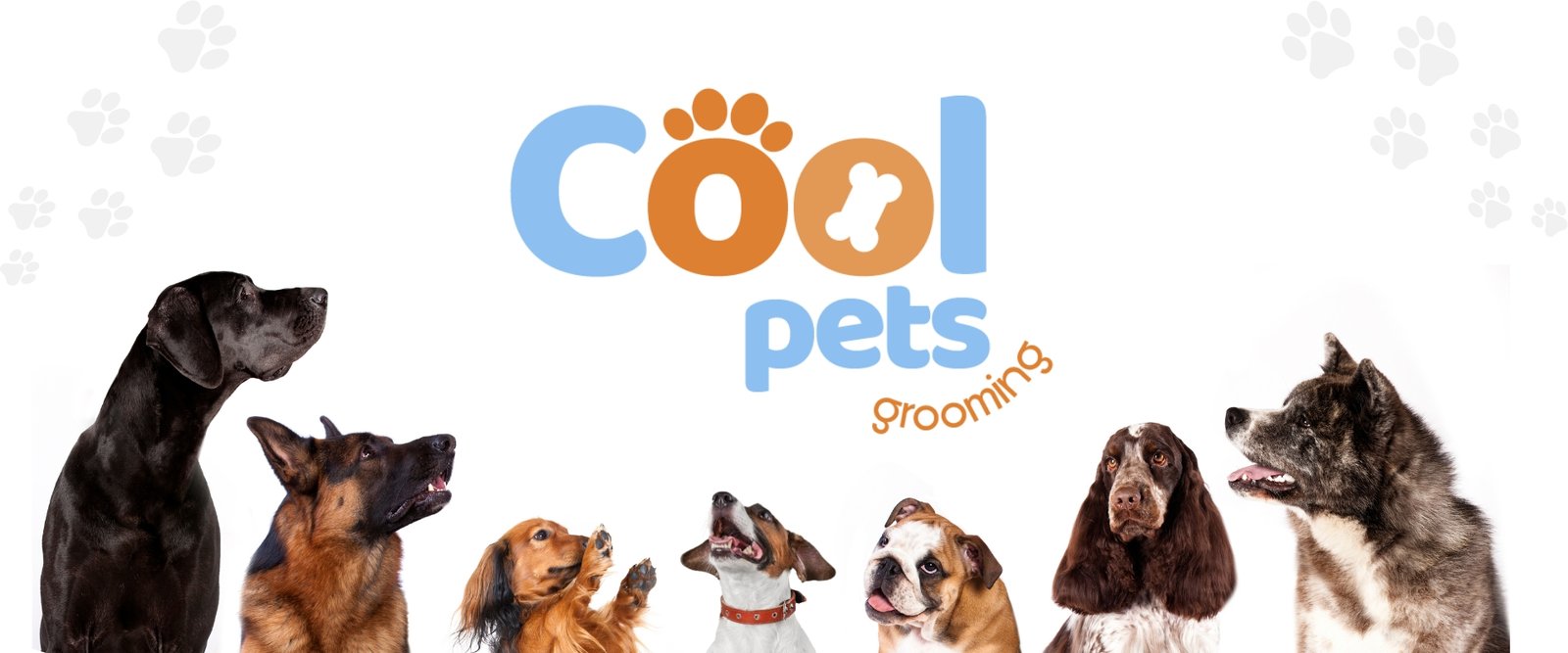 Cool Pets Grooming